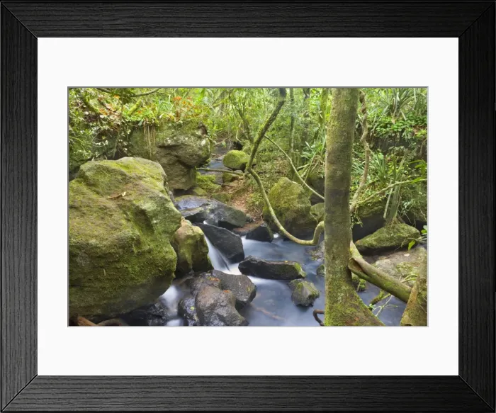 Framed Print : Picture No. 10889490