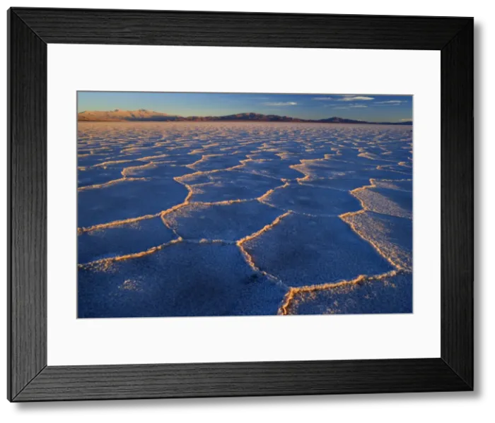 Framed Print : Picture No. 10889497 Framed Print : Picture No. 10889497
