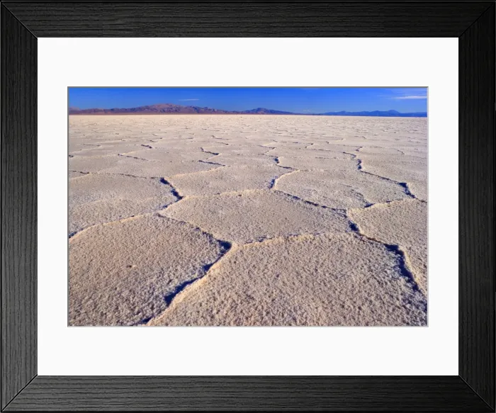 Framed Print : Picture No. 10889496 Framed Print : Picture No. 10889496