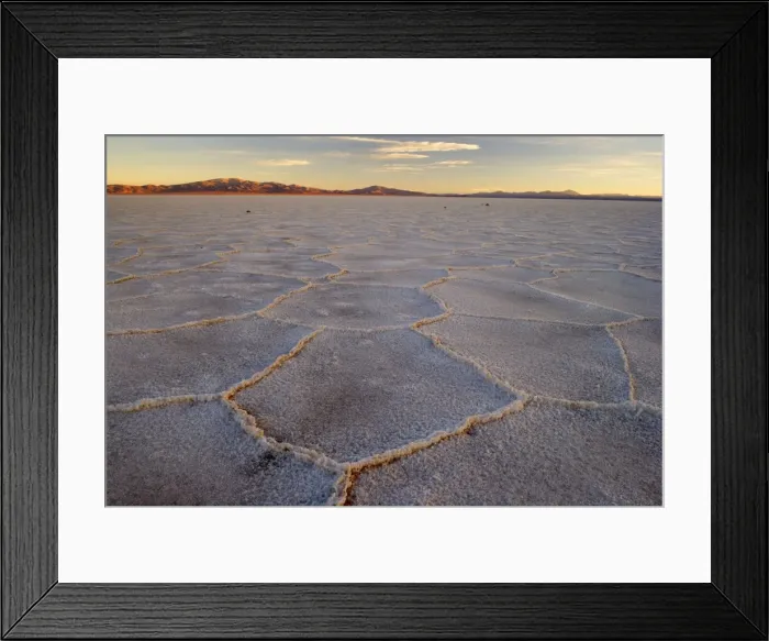 Framed Print : Picture No. 10889498 Framed Print : Picture No. 10889498