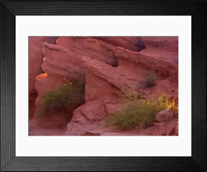 Framed Print : Picture No. 10889514 Framed Print : Picture No. 10889514