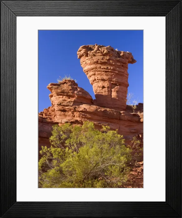 Framed Print : Picture No. 10889520 Framed Print : Picture No. 10889520