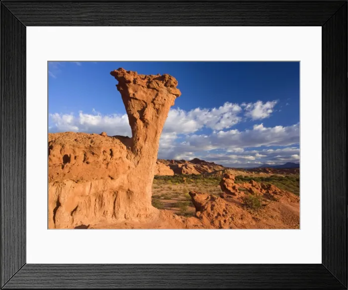 Framed Print : Picture No. 10889526