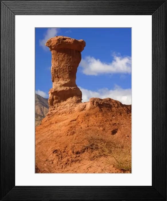Framed Print : Picture No. 10889519