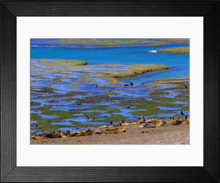 Framed Print : Picture No. 10889530 Framed Print : Picture No. 10889530