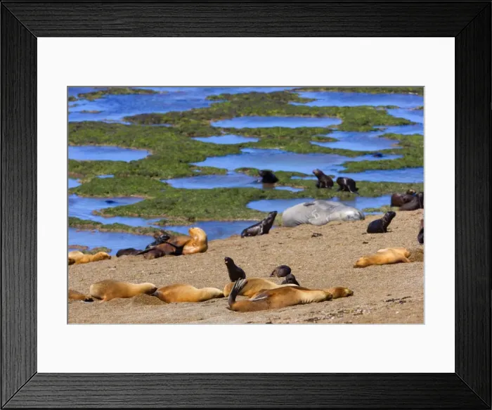 Framed Print : Picture No. 10889532