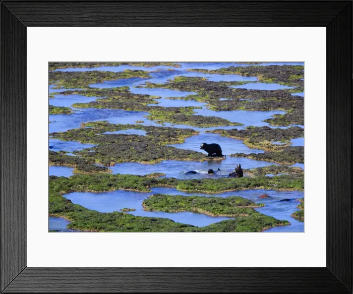 Framed Print : Picture No. 10889531 Framed Print : Picture No. 10889531