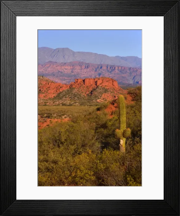 Framed Print : Picture No. 10889529 Framed Print : Picture No. 10889529