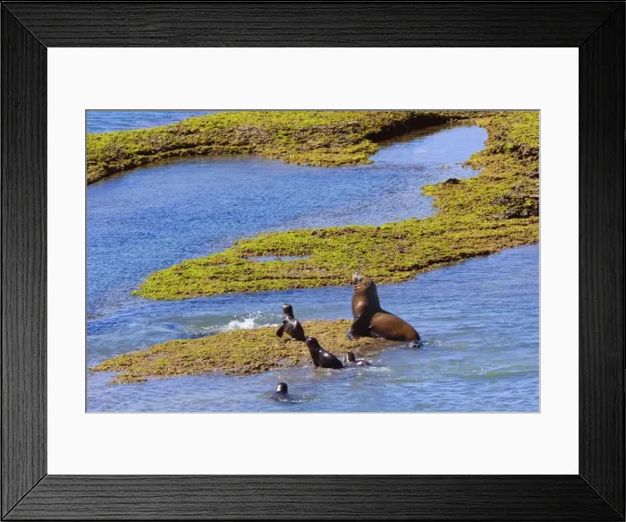 Framed Print : Picture No. 10889533 Framed Print : Picture No. 10889533