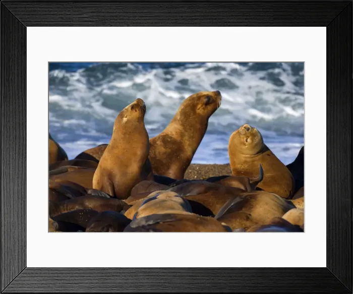 Framed Print : Picture No. 10889536 Framed Print : Picture No. 10889536