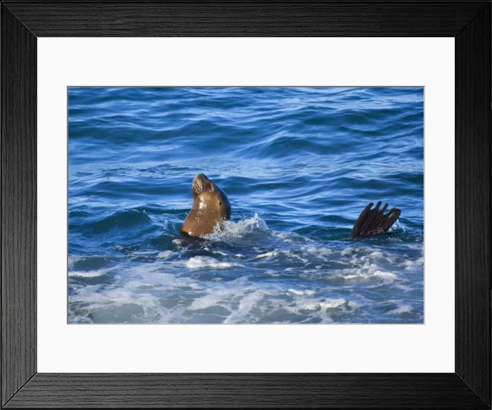 Framed Print : Picture No. 10889541 Framed Print : Picture No. 10889541