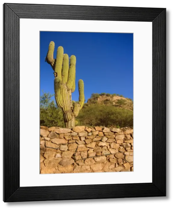 Framed Print : Picture No. 10889548 Framed Print : Picture No. 10889548