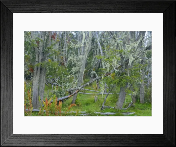 Framed Print : Picture No. 10889553 Framed Print : Picture No. 10889553