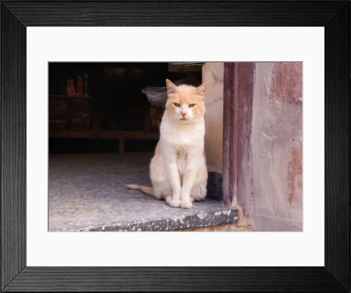 Framed Print : Picture No. 10889566 Framed Print : Picture No. 10889566