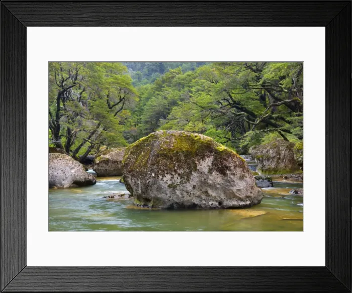Framed Print : Picture No. 10889567 Framed Print : Picture No. 10889567