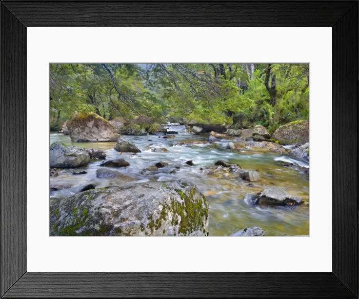 Framed Print : Picture No. 10889568