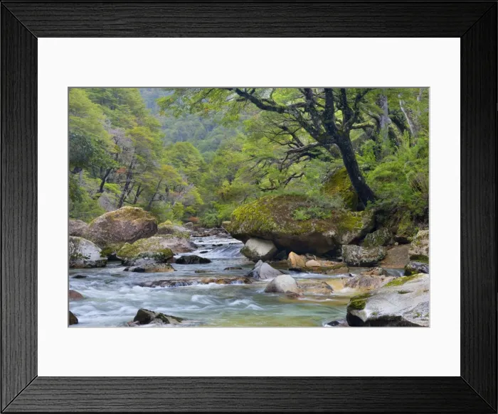 Framed Print : Picture No. 10889570 Framed Print : Picture No. 10889570