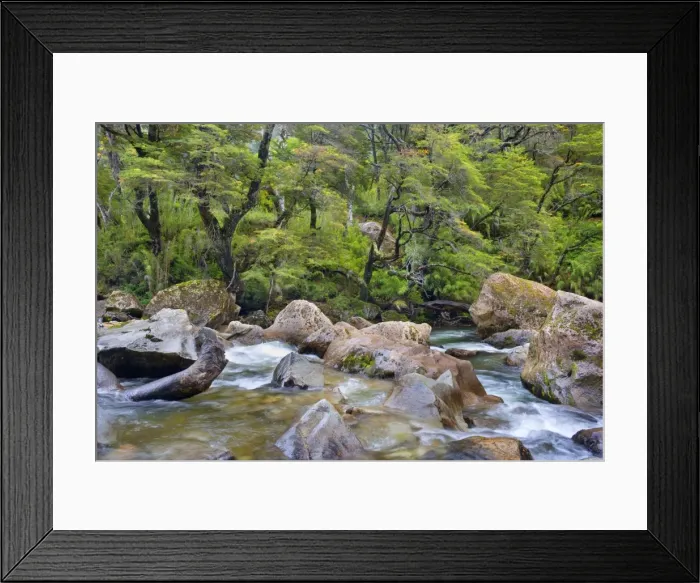 Framed Print : Picture No. 10889569 Framed Print : Picture No. 10889569