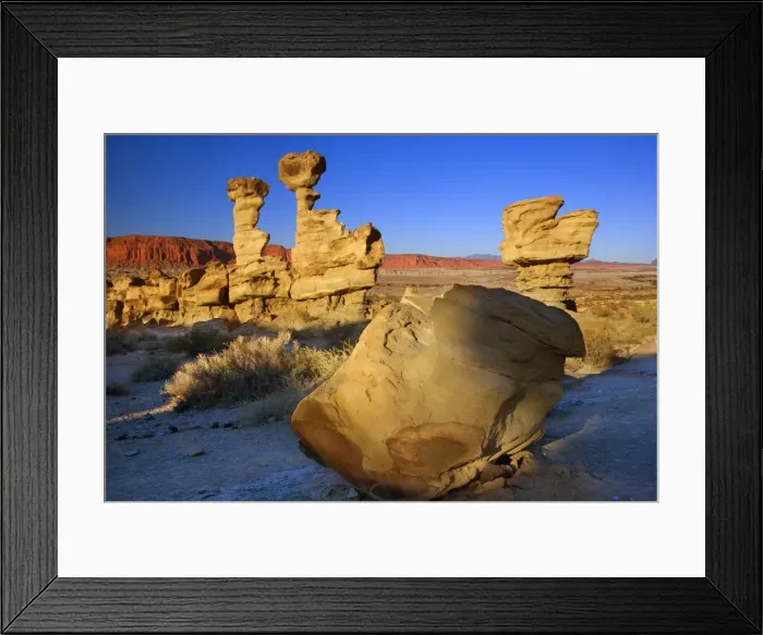 Framed Print : Picture No. 10889576 Framed Print : Picture No. 10889576