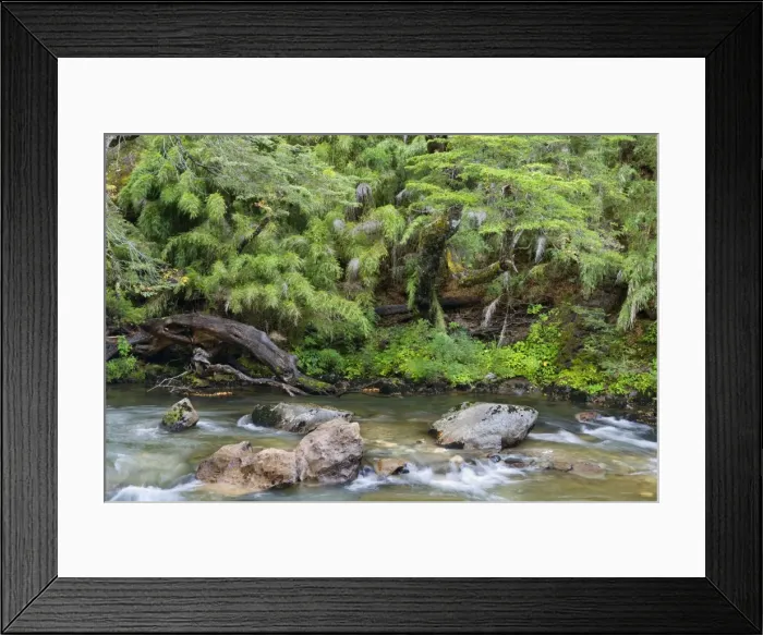 Framed Print : Picture No. 10889571 Framed Print : Picture No. 10889571