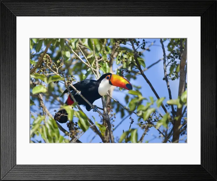 Framed Print : Picture No. 10889592 Framed Print : Picture No. 10889592