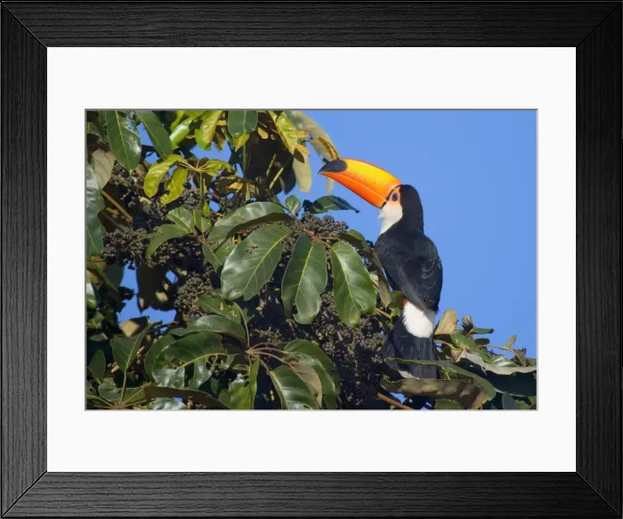 Framed Print : Picture No. 10889600