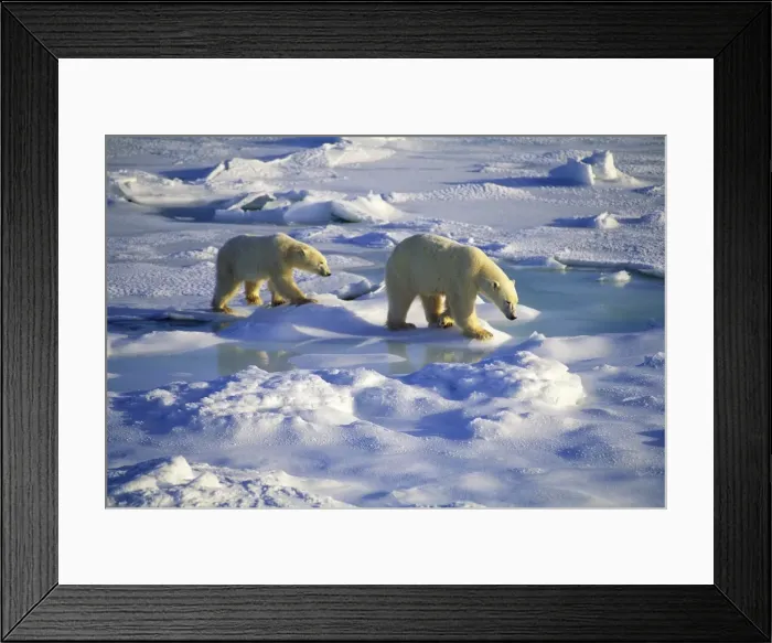 Framed Print : Picture No. 10889665 Framed Print : Picture No. 10889665