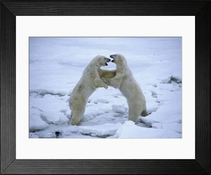 Framed Print : Picture No. 10889667 Framed Print : Picture No. 10889667