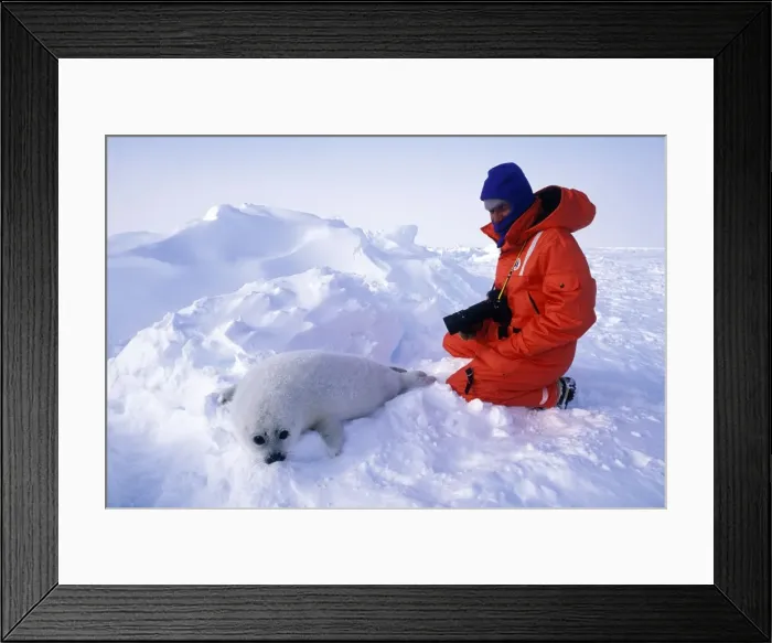 Framed Print : Picture No. 10889677 Framed Print : Picture No. 10889677