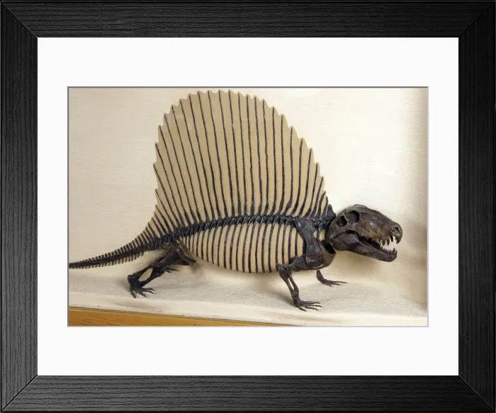 Framed Print : Picture No. 10889697 Framed Print : Picture No. 10889697