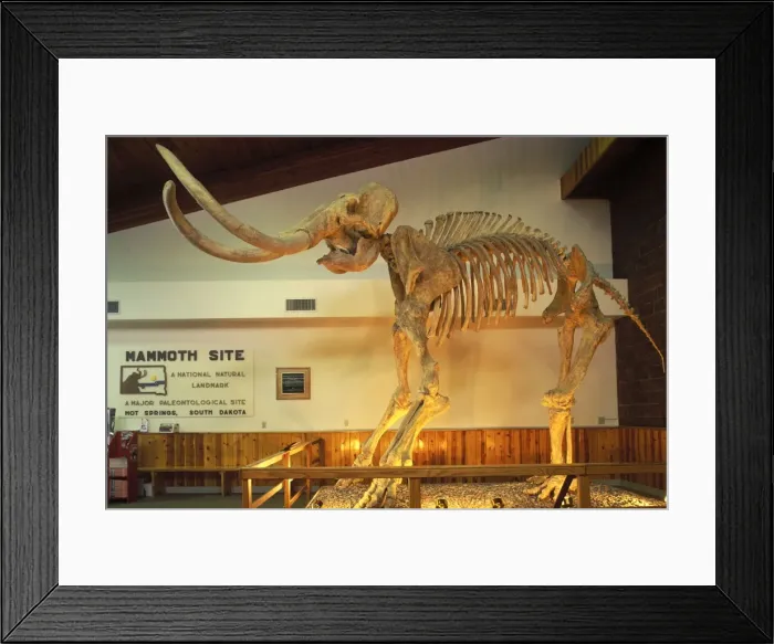 Framed Print : Picture No. 10889698 Framed Print : Picture No. 10889698