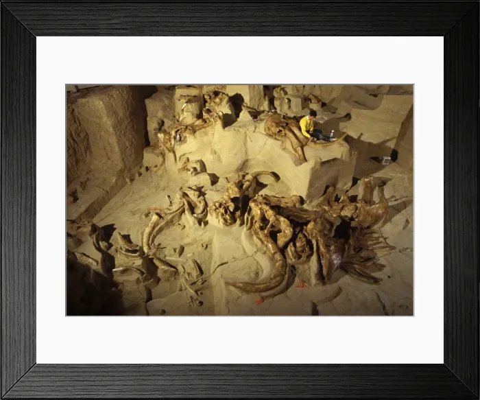 Framed Print : Picture No. 10889699 Framed Print : Picture No. 10889699