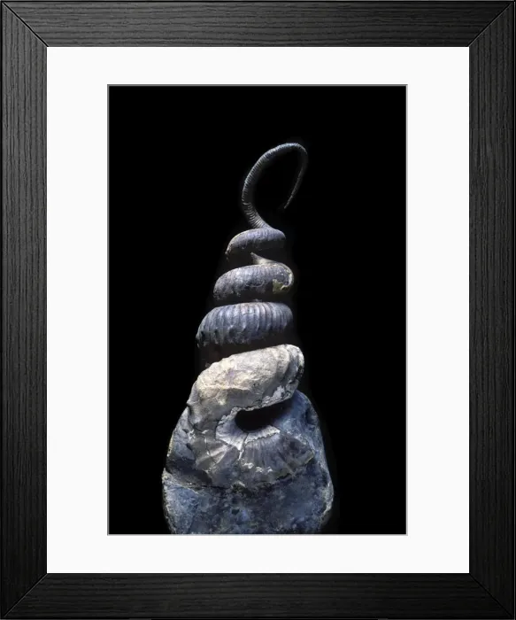 Framed Print : Picture No. 10889706 Framed Print : Picture No. 10889706