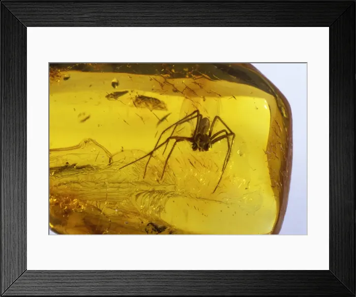 Framed Print : Picture No. 10889704 Framed Print : Picture No. 10889704