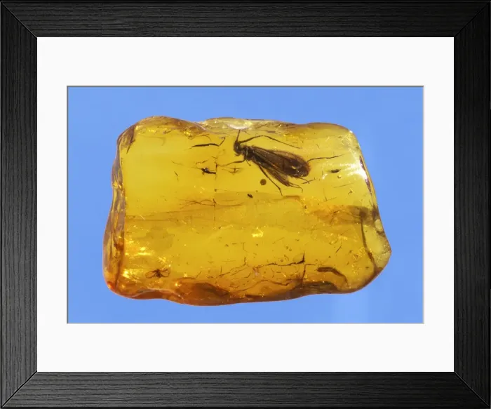 Framed Print : Picture No. 10889712 Framed Print : Picture No. 10889712