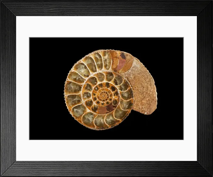 Framed Print : Picture No. 10889719 Framed Print : Picture No. 10889719
