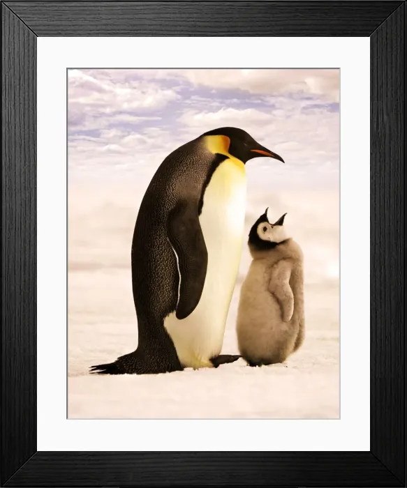 Framed Print : Picture No. 10889723 Framed Print : Picture No. 10889723