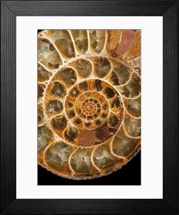 Framed Print : Picture No. 10889721 Framed Print : Picture No. 10889721