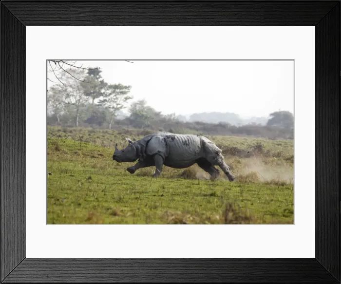 Framed Print : Picture No. 10889865 Framed Print : Picture No. 10889865