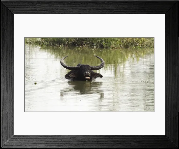 Framed Print : Picture No. 10889866 Framed Print : Picture No. 10889866