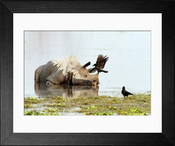 Framed Print : Picture No. 10889867 Framed Print : Picture No. 10889867