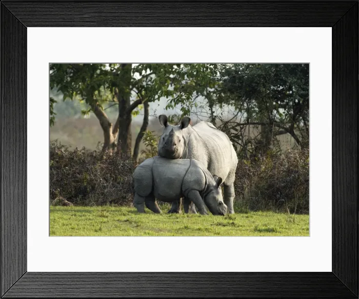 Framed Print : Picture No. 10889869 Framed Print : Picture No. 10889869