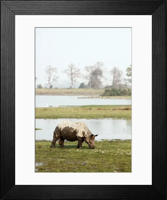 Framed Print : Picture No. 10889884 Framed Print : Picture No. 10889884