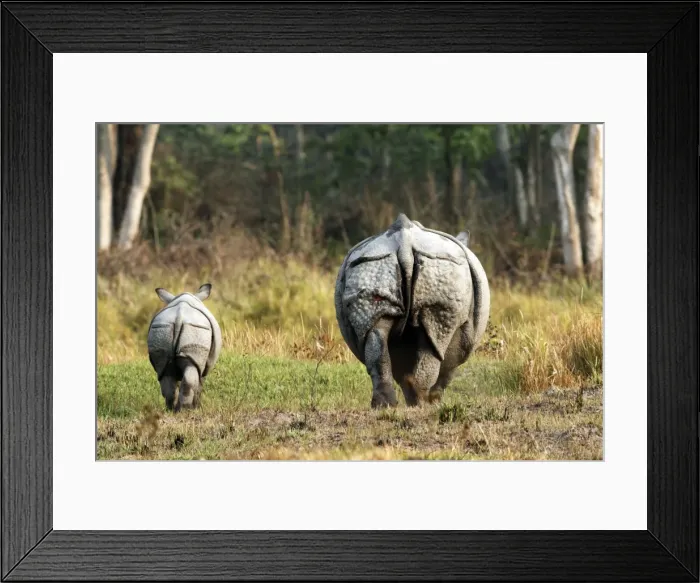 Framed Print : Picture No. 10889901 Framed Print : Picture No. 10889901