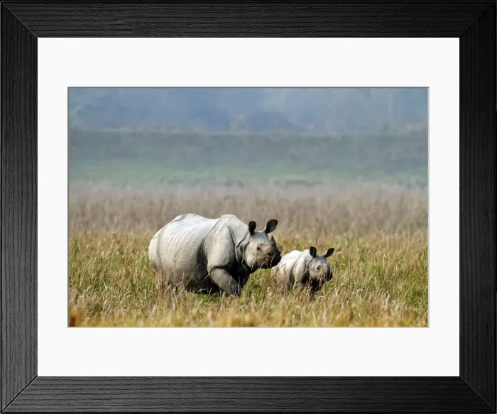 Framed Print : Picture No. 10889903 Framed Print : Picture No. 10889903