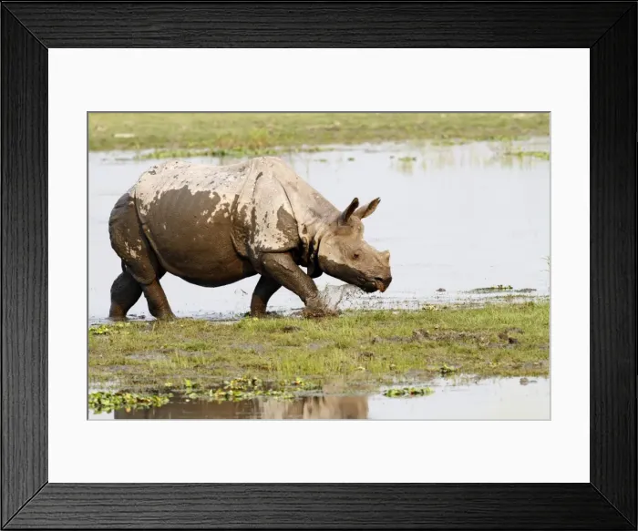 Framed Print : Picture No. 10889902 Framed Print : Picture No. 10889902