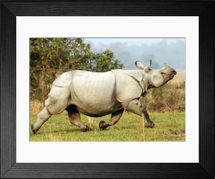 Framed Print : Picture No. 10889911