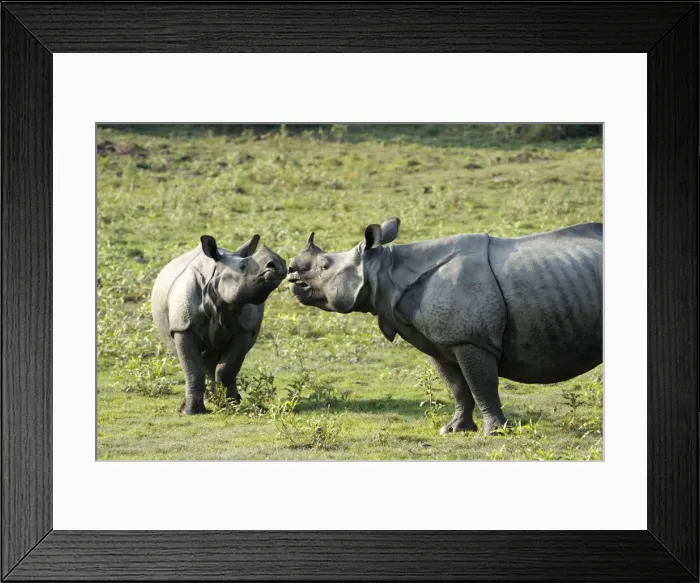 Framed Print : Picture No. 10889908 Framed Print : Picture No. 10889908