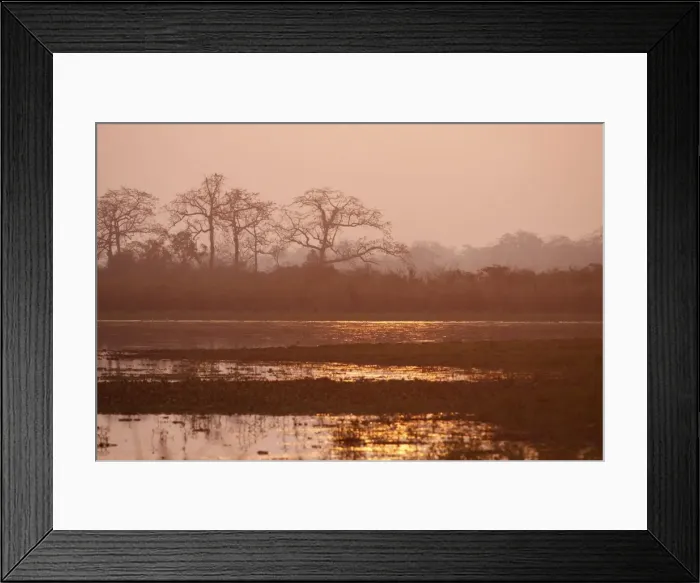 Framed Print : Picture No. 10889914 Framed Print : Picture No. 10889914