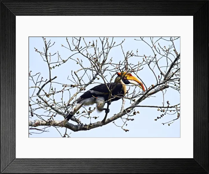 Framed Print : Picture No. 10889918 Framed Print : Picture No. 10889918